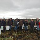 День кукурузного поля Агровектор 2016 г. На базе ПЗ Александровский