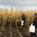 День кукурузного пол Агровектор 2017год, ПЗ Александровский