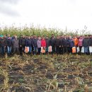 День кукурузного поля Агровектор 2016 г. На базе ПЗ Александровский